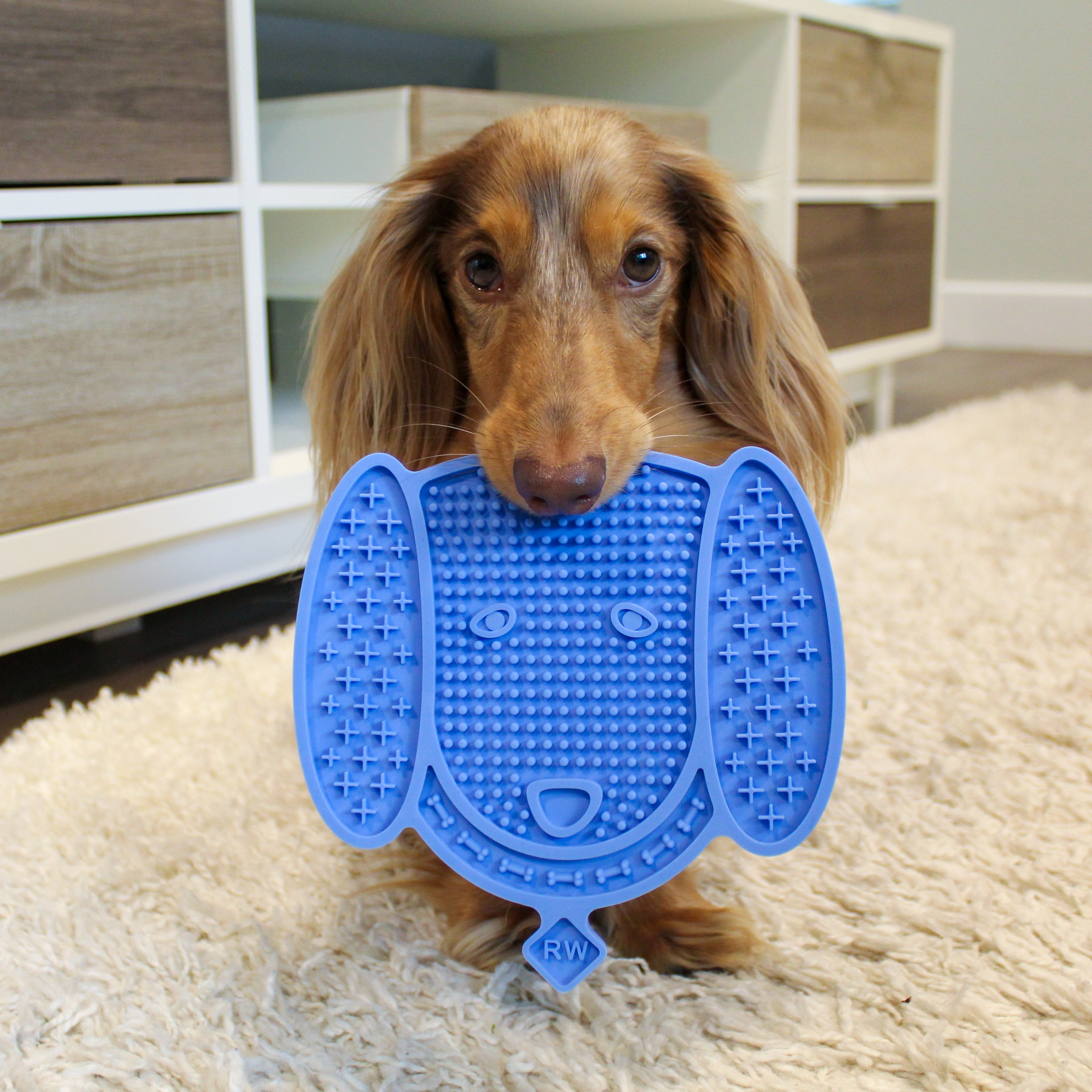 6 Benefits of Lick Mats for Dogs
