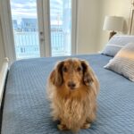 Roswell Reviews – Atlantic Beach, NC