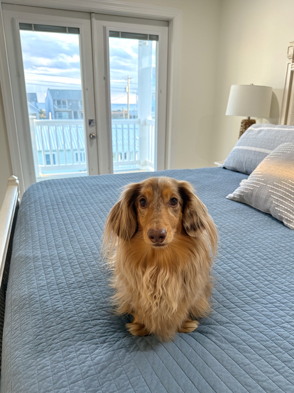 Roswell Reviews – Atlantic Beach, NC